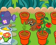 Dora's magical garden internetes jtkok ingyen