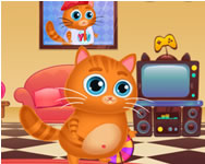 internetes - Lovely virtual cat